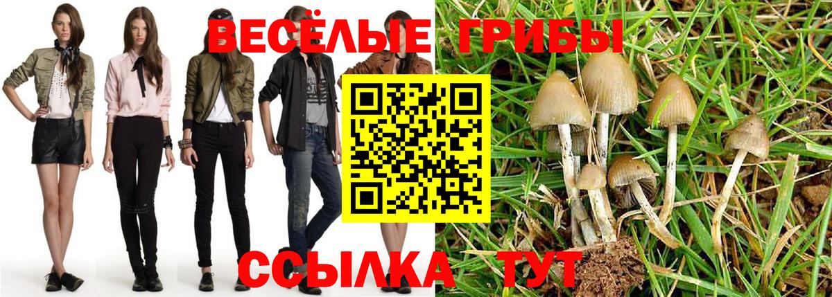 Кинешма  Галлюциногенные грибы MAGIC MUSHROOMS  Вход с VPN 