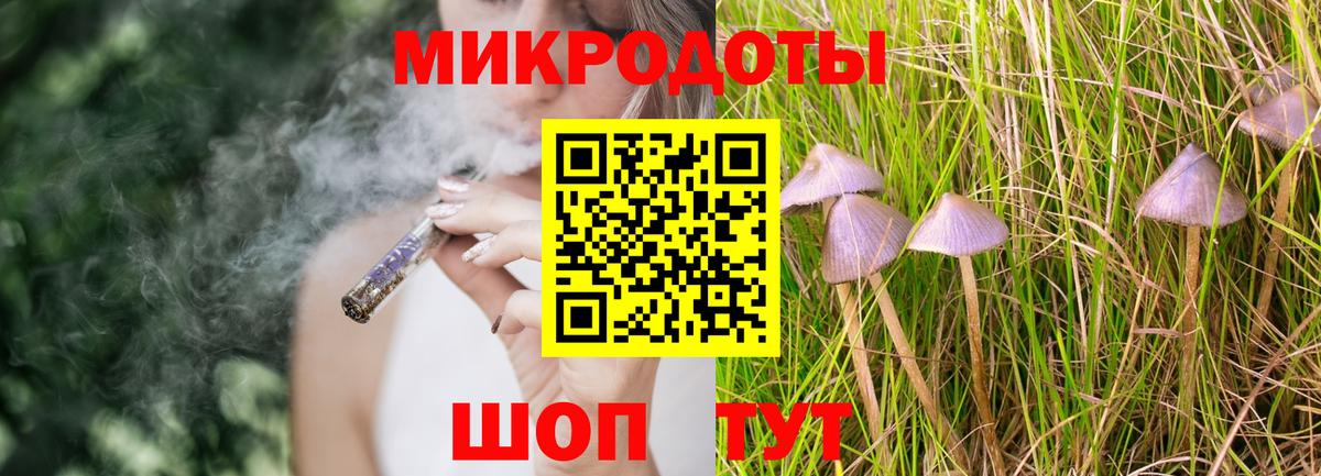 Псилоцибиновые грибы Psilocybe Кинешма